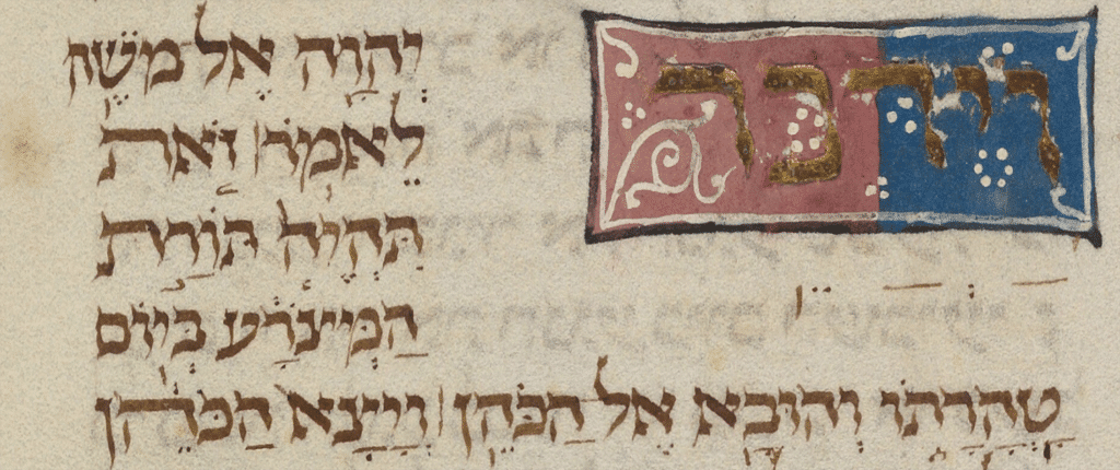 Zohar Metsora