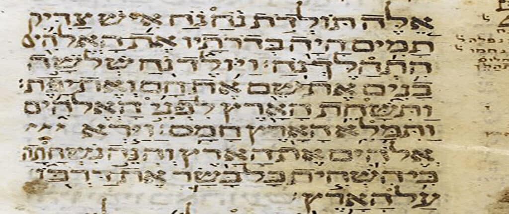 zohar Noé Noah