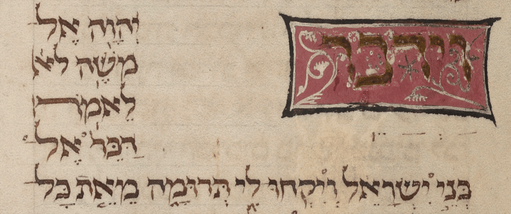 Zohar Teroumah