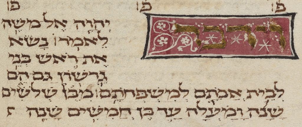 Zohar Nasso