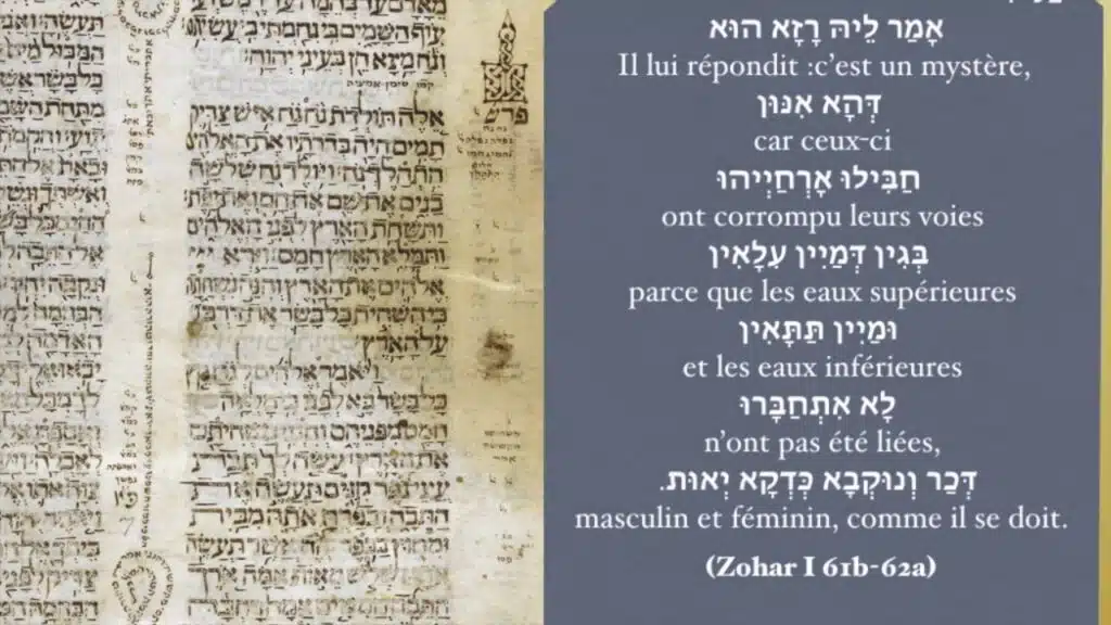 Vignette vidéo — Zohar Noah Mardi