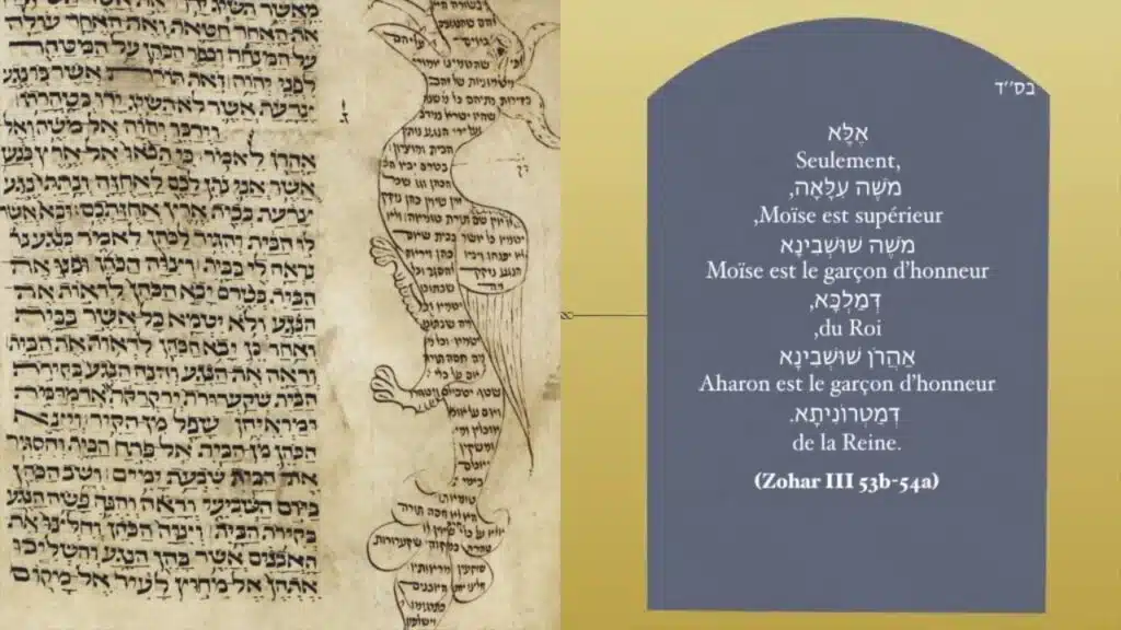 Vignette vidéo — Zohar Metsora Mardi